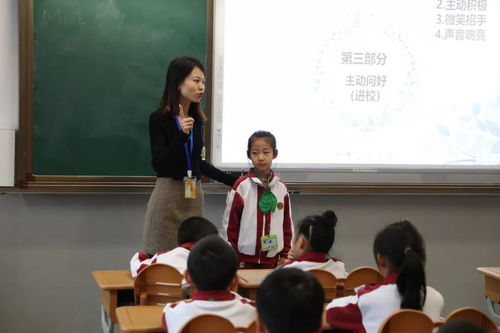 規范引領，班級管理視角下的班主任行規教育培訓